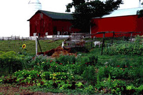 Nick Bauch PhD research on community-based agriculture