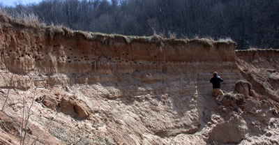 Mill Coulee Savanna