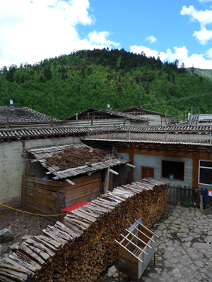 household fuelwood supply with village sacred forest in background
