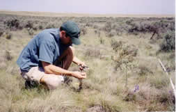 Paul Collecting Grass Samples