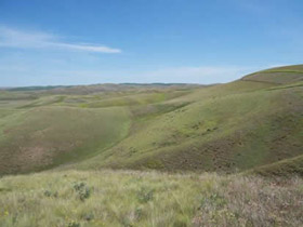 grasslands