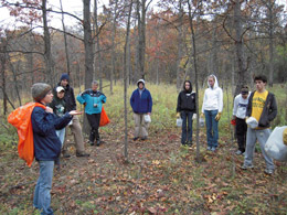 volunteers help with seed collection