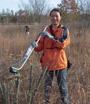 Yen-Chu Weng applies herbicide to cut stumps